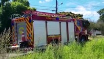 Moradora encontra cobra e aciona do Corpo de Bombeiros no Bairro Cascavel Velho