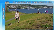 岩合光昭の世界ネコ歩きｍｉｎｉ「下から見るネコ」「ネコとお散歩」