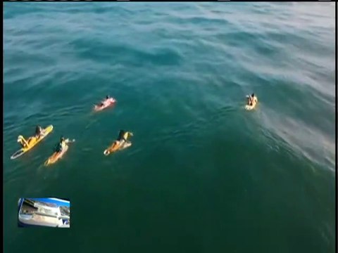 Deportes VTV 02MAR2021 l Primera Válida Nacional de Surf se realizará en el estado La Guaira