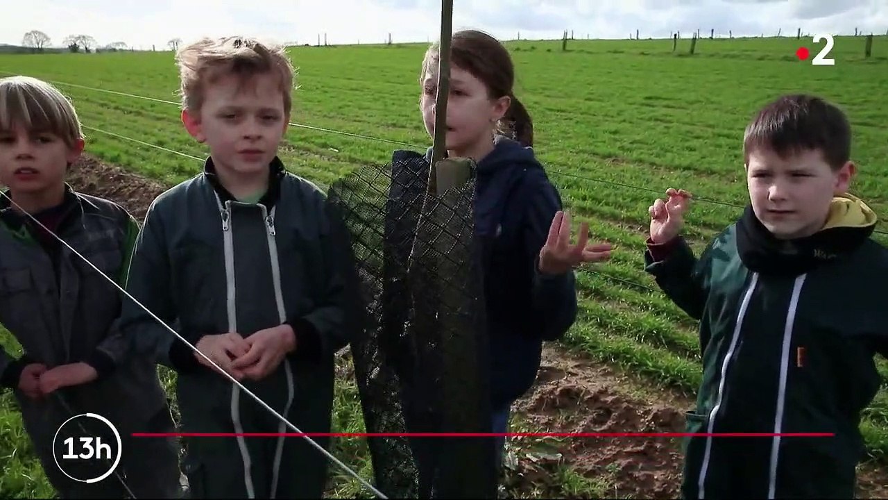 Mayenne : une famille d’agriculteurs choisit le bio de père en fils
