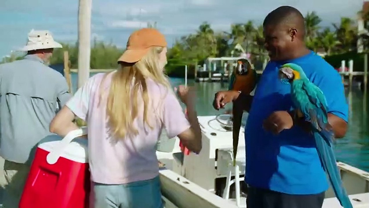 Dolphin Island Trailer