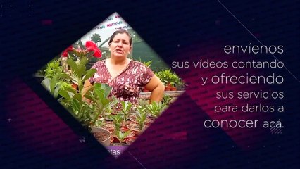 Soluciones del Trece - Miércoles 03 de marzo del 2021
