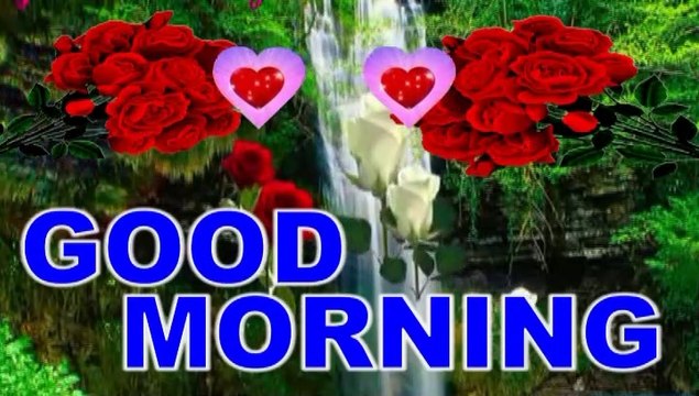 Good morning | have a nice day | sweet & cute good morning wishes