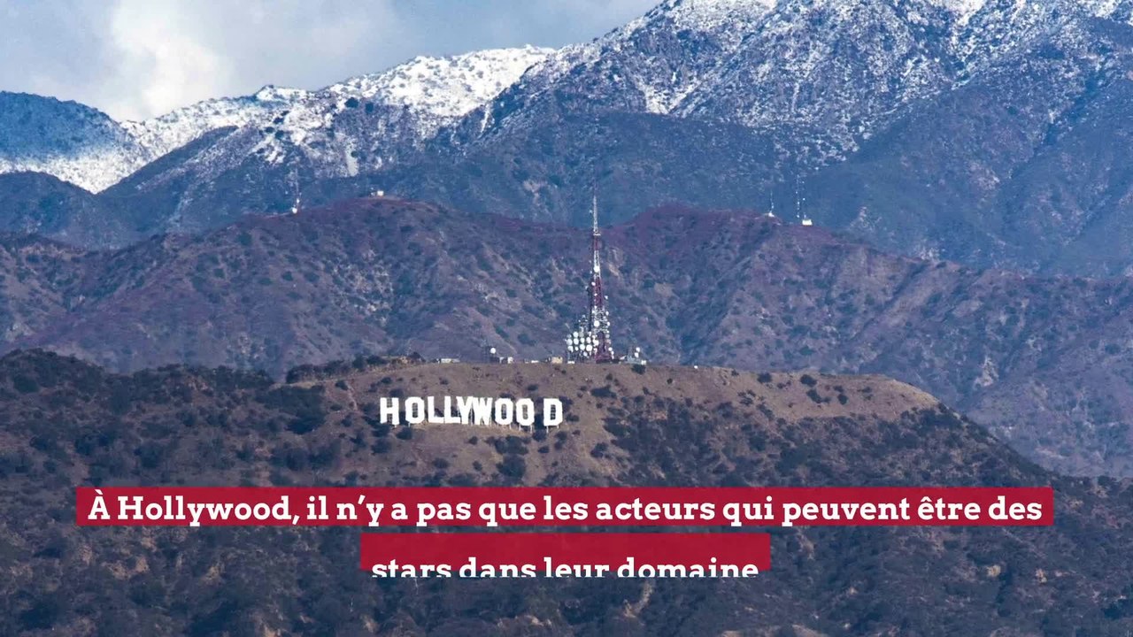 Laura Wasser, l'avocate spécialiste des divorces chez les célébrités