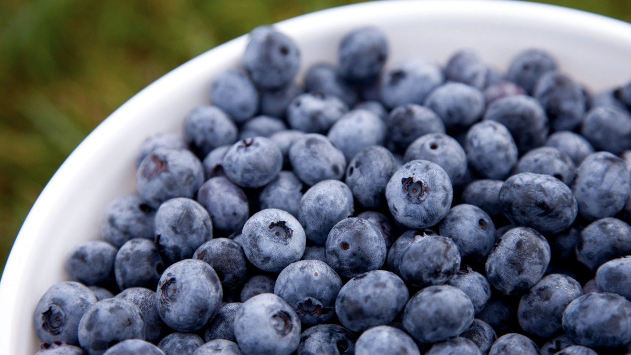 Health Benefits of Blueberries