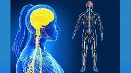 bd-adormecimiento-de-brazos-y-pies-020321