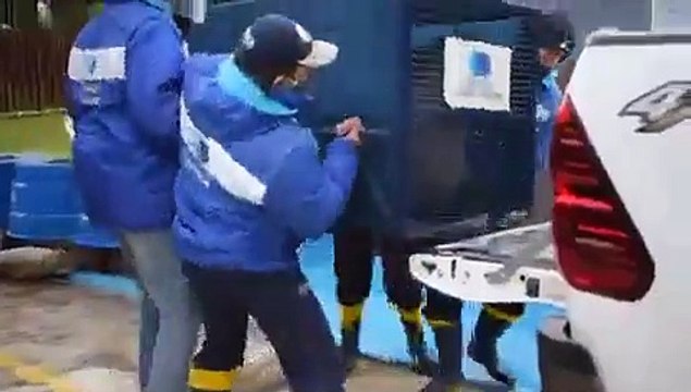 O emotivo regresso de um elefante e quatro leões-marinhos ao mar