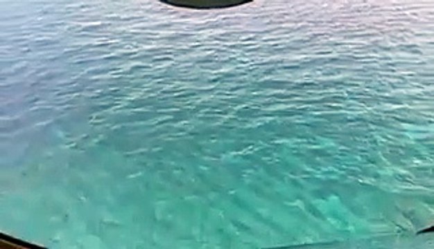 Três homens resgatados de ilha do Pacífico após escreverem SOS na areia