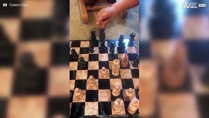 Criança faz dança adorável após roubar no xadrez