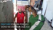 O abraço que todos sonham em receber ao chegar em casa