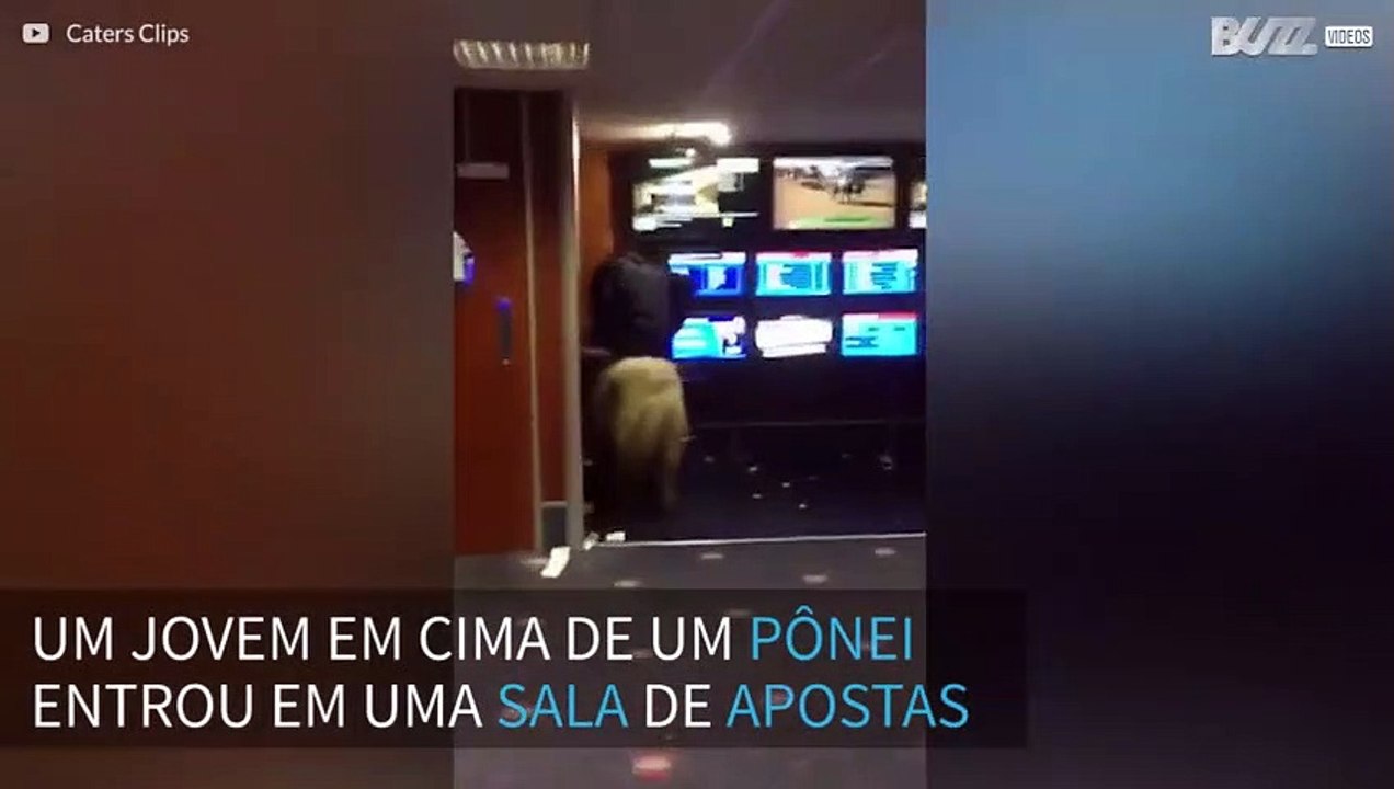 Jovem entra em sala de apostas montado em pônei