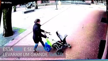 Árvore cai e mulher com bebê escapa por centímetros