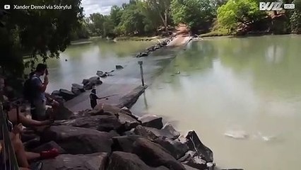 Duelo entre crocodilo e pescador em um rio da Austrália
