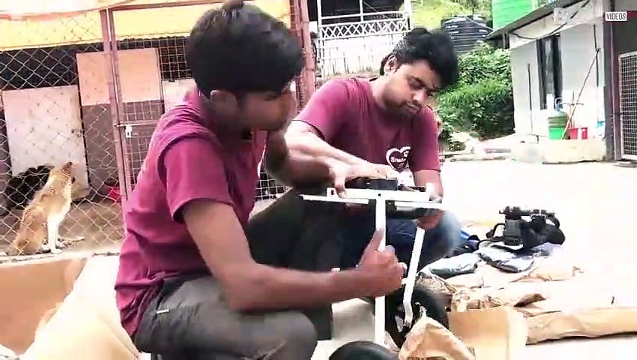 Cães acidentados ganham cadeiras de rodas e voltam a correr