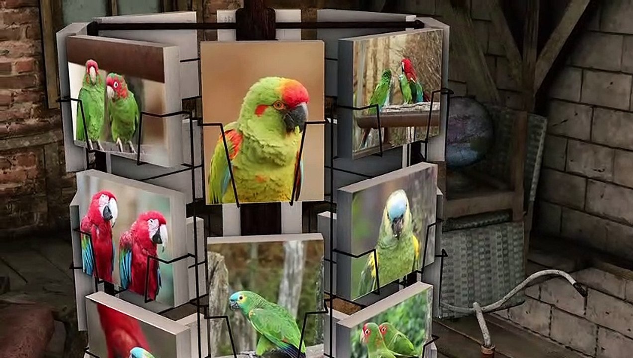 Les perroquets du BioParc de Doué La Fontaine / Parrots at the BioParc de Doué La Fontaine