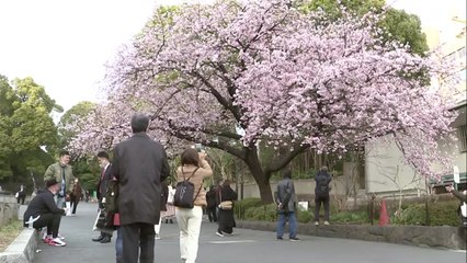 日 도쿄 등 수도권 긴급사태 연장되나?...'신중론' 급부상 / YTN
