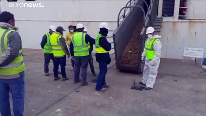 Se pospone al jueves el sacrificio de 900 terneros que nadie quiso