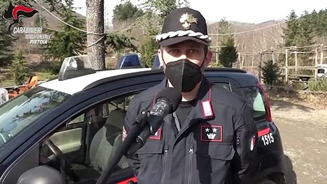 Pistoia - Investito da un'auto, cucciolo di lupo trasferito in centro fauinistico (02.03.21)