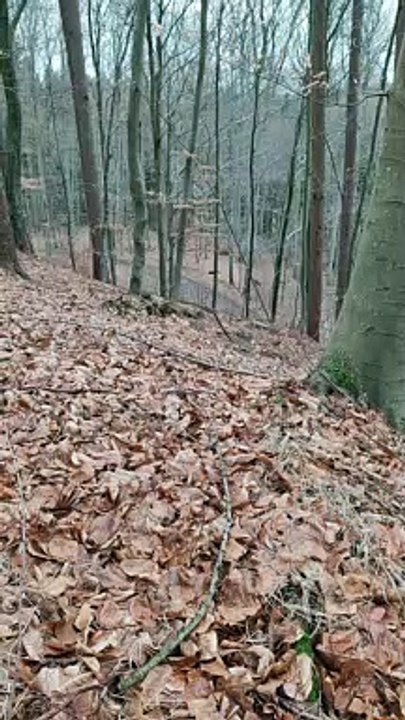 'Freya-Erdenmutter', Torsten Böhm