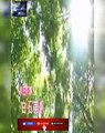 Dondo Hare SP - どんど晴れスペシャル - English Subtitles - E77