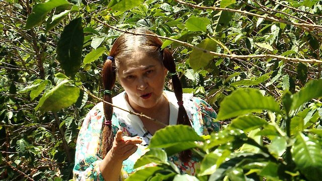 dbb-paseo-elvirilla-020321