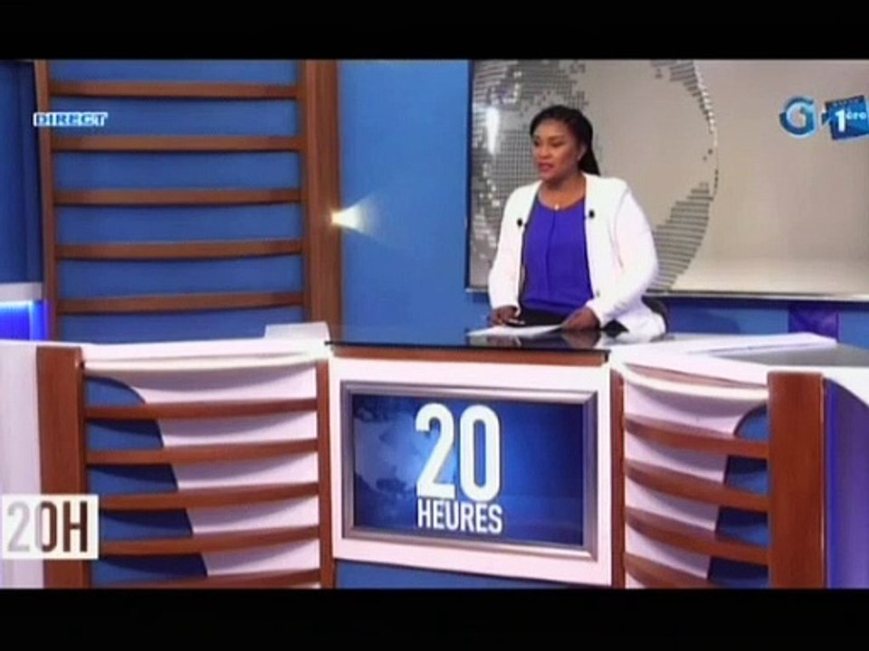 RTG/ Audience du représentant résidant du FMI au Gabon avec le Premier Ministre