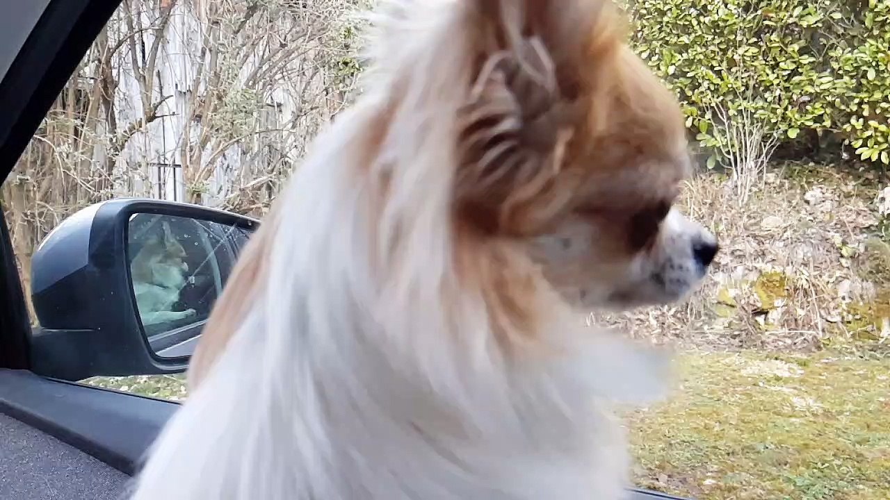 Arrivée au chalet ouf après plus de10 heures de route