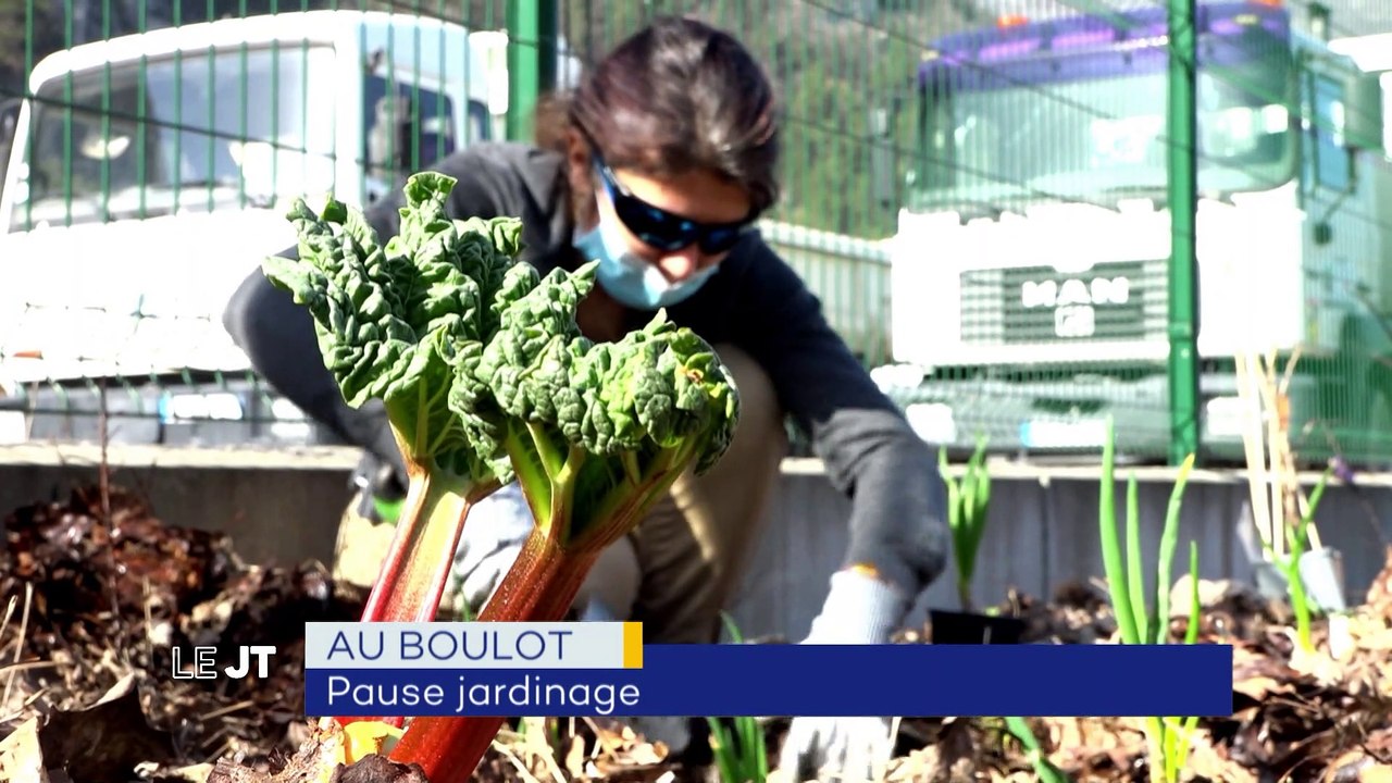Jardinage, protection des données, tests ski de rando  - 2 MARS 2021