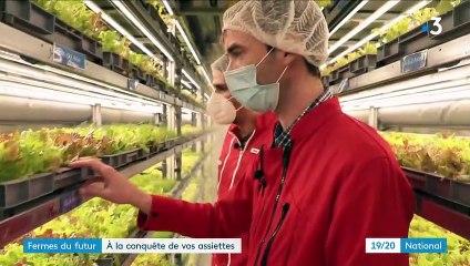 Alimentation : une production de fruits et légumes futuriste dans des containers à la Courneuve