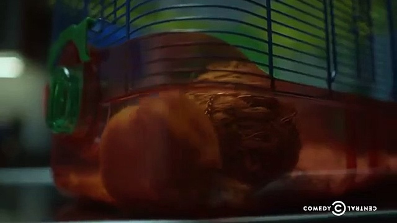 Irrational Fears - Se1 - Ep2 - My Hamster Hates Me HD Watch