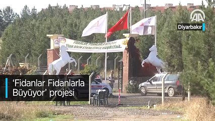 &#039;Fidanlar Fidanlarla Büyüyor&#039; projesi