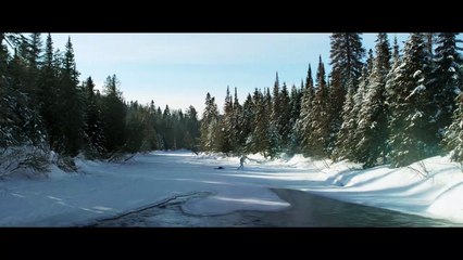 CRISIS Movie - An intense thriller set against the backdrop of the opioid epidemic