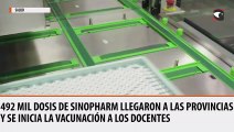 Coronavirus en Argentina las 492 mil dosis de Sinopharm llegaron a las provincias y se inicia la vacunación a los docentes