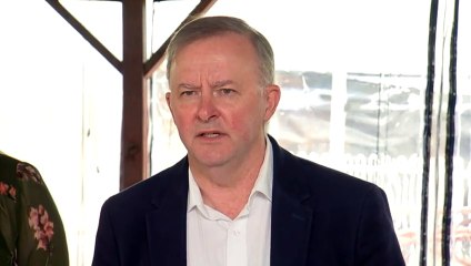 Albanese calls on PM to provide more leadership