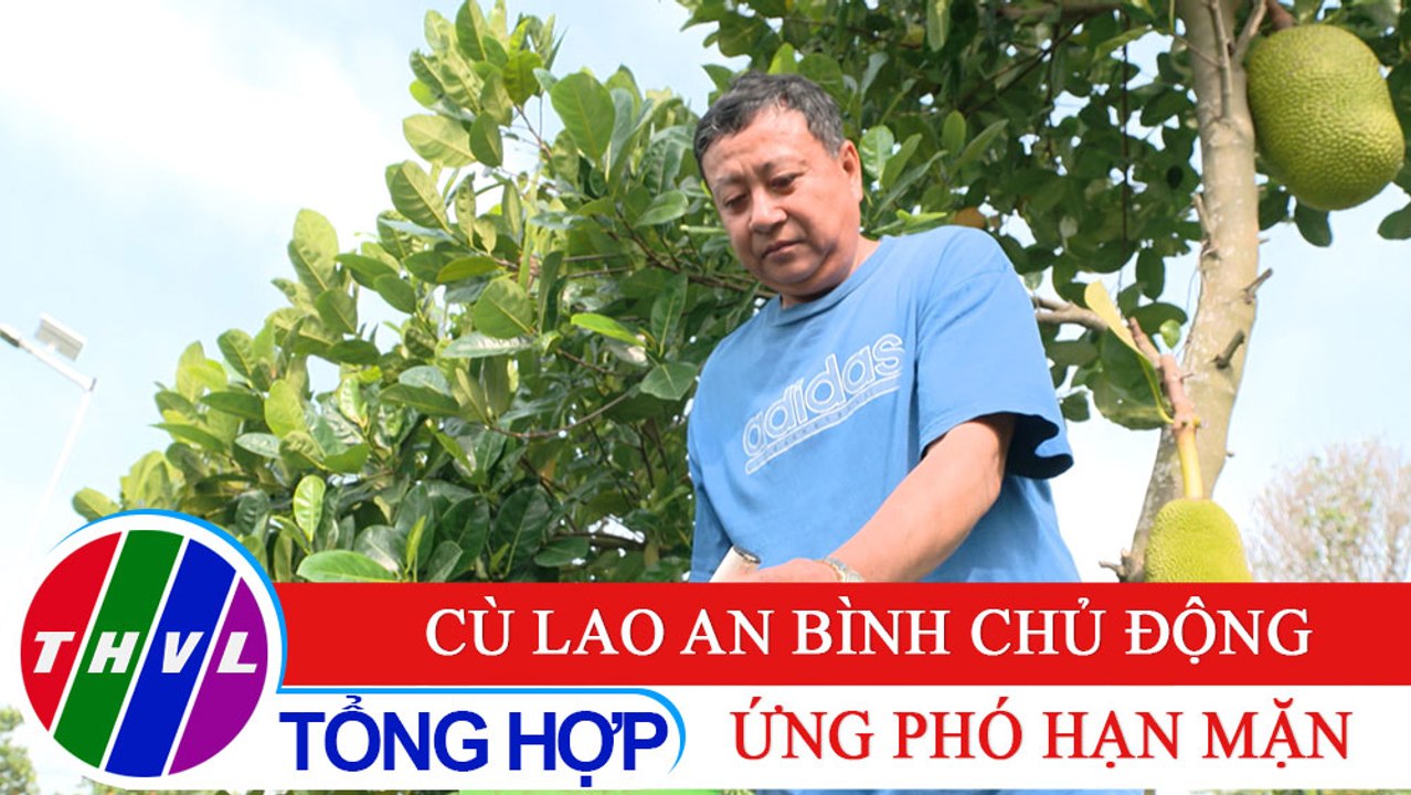 Nông thôn ngày nay: Cù lao An Bình chủ động ứng phó hạn mặn