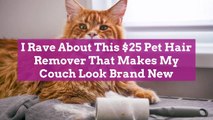 I Rave About This $25 Pet Hair Remover That Makes My Couch Look Brand New