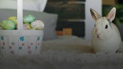 Duncan Hines' Epic Peeps Baking Kit Is Back