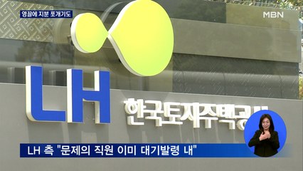 LH 임직원 땅투기 영끌에 지분 쪼개기…심지어 나무심기도