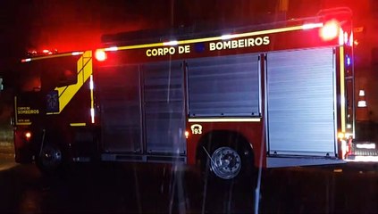 Gambá é capturado pelos Bombeiros em residência no Cascavel Velho