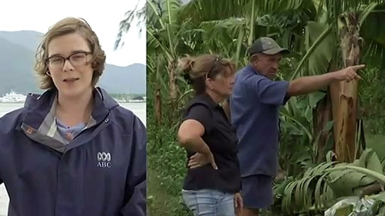 Tropical cyclone intensifies off Far North Queensland