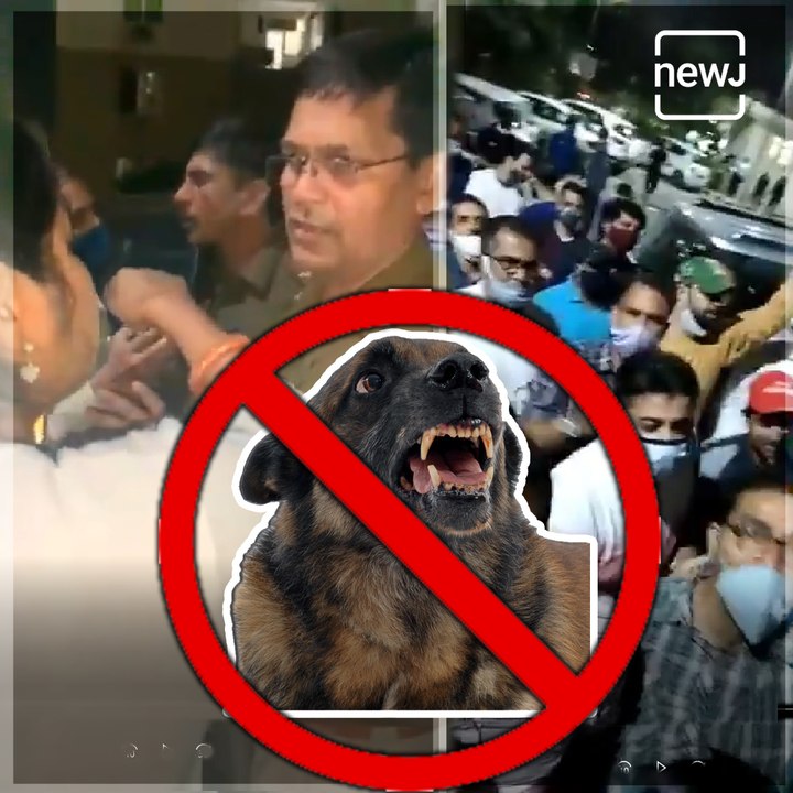 Family Blocked From Entering Their Residential Complex Over Feeding Stray Dogs In Gurgaon