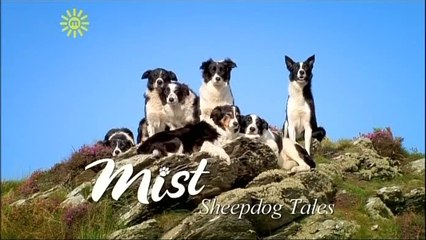 Mist - Sheep Dog Tales: The Lamb That Cried Eagle