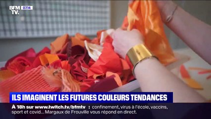 Couleurs de l'année: qui imaginent les nouvelles tendances ?
