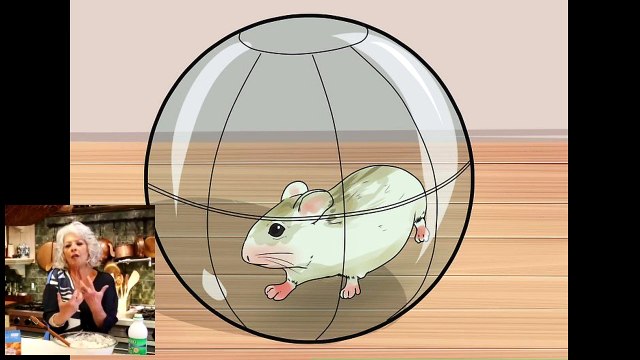 Make Dwarf Hamsters Stop Biting the Cage