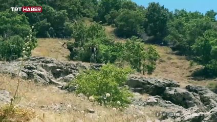 İtirafçı olan terörist, PKK'nın Yunanistan rotasını anlattı