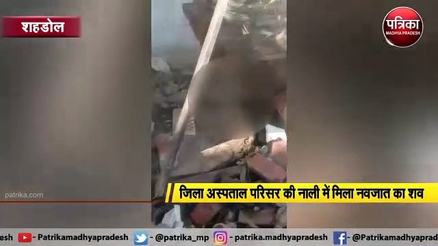 शहडोल : जिला अस्पताल परिसर की नाली में मिला नवजात का शव