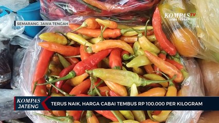 Terus Naik, Harga Cabai Tembus Rp 100.000 Per Kilogram