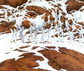 Enigme des chevaux... Combien en voyez-vous?