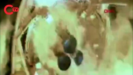 İlk uzay turisti duyurdu: Ay’a gidecek 8 gönüllü aranıyor