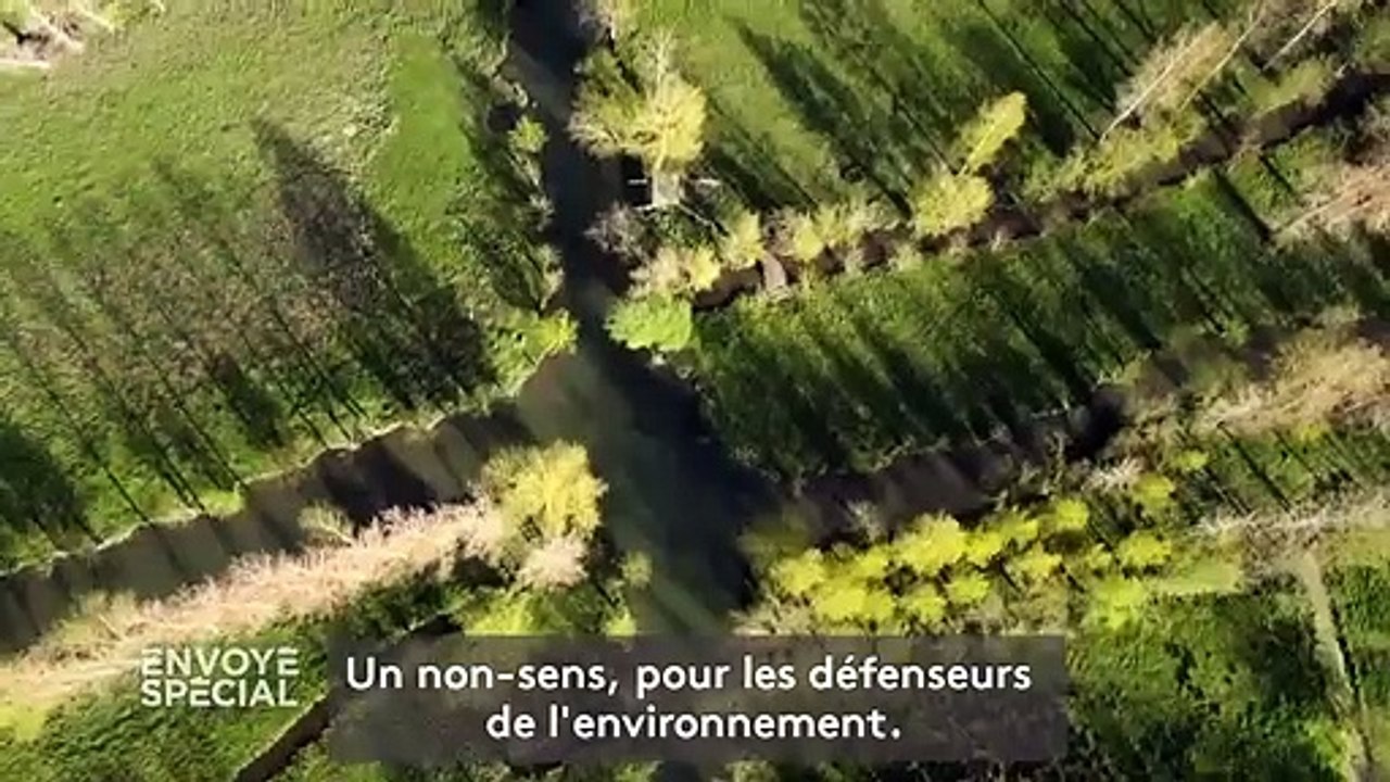 Guerre de l'eau : le collectif qui dit "Bassines non merci" au projet de retenues artificielles dans le Marais poitevin